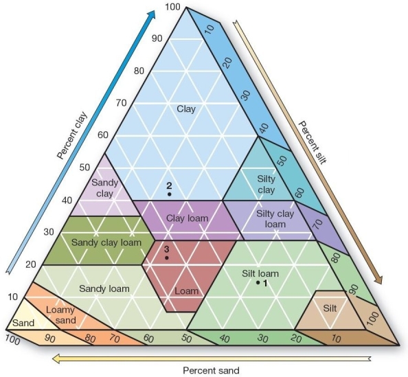<strong> Soil Texture Triangle A soil that is 20% sand,60% silt,and 20% clay is classified as</strong> A)sandy clay. B)sandy clay loam. C)silt loam. D)clay loam. E)clay.
