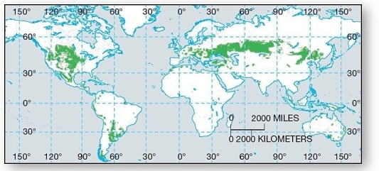 <strong> These grassland soils are some of the Earth's most significant agricultural soils.</strong> A)Gelisols B)Molliso1s C)Aridisols D)Inceptisols E)Oxisols