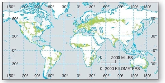   These soils are the most spatially widespread,extending from the equator to high latitudes. A) Vertisols B) Alfisols C) Entisols D) Gelisols E) Ultisols