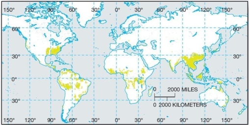 <strong> Relatively high precipitation in the regions in which these soils are found cause greater mineral alterations and more alluvial leaching than in other soils.</strong> A)Oxisols B)Andisols C)Gelisols D)Ultisols E)Entisols