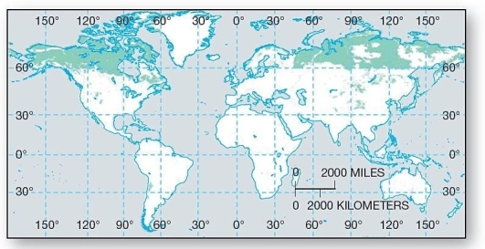 <strong> These high latitude,periglacial soils contain about half of the pool of global carbon.</strong> A)Oxisols B)Spodosols C)Gelisols D)Mollisols E)Aridisols