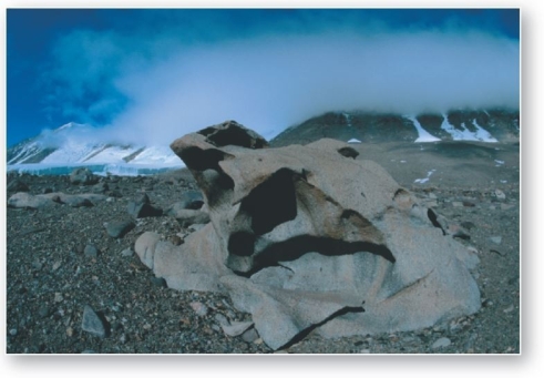 <strong> The term used to describe rocks that are pitted,fluted,or polished from eolian erosion is</strong> A)desert pavement. B)pumice. C)ventifacts. D)deflation hollows. E)dunes.