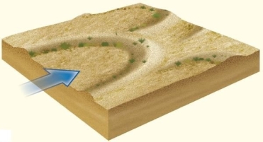 <strong> In vegetated dune landscapes,dunes form with their tips pointing upwind.</strong> A)Linear B)Barchan C)Longitudinal D)Transverse E)Parabolic
