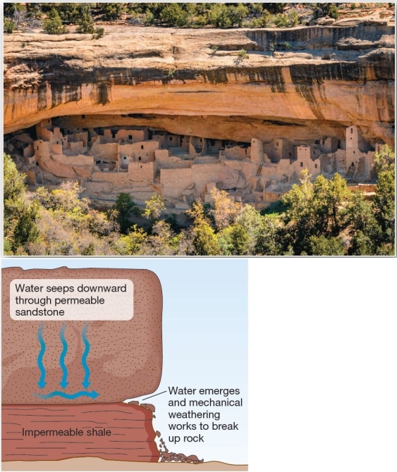 <strong> Weathering of sandstone alcoves used for ancient cliff dwellings An alcove in sandstone,such as that in the Cliff House at Mesa Verde,is indicative of which weathering process?</strong> A)exfoliation B)carbonation C)root wedging D)salt-crystal growth E)hydrolysis