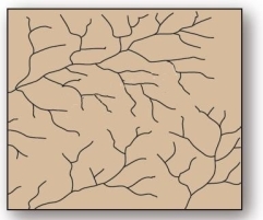   This tree-like drainage pattern efficiently moves water and sediment through its system due to minimization of the total length of each branch. A) dendritic B) trellis C) radial D) deranged E) rectangular