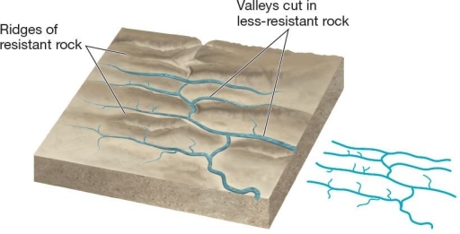   This drainage pattern is characteristic of dipping or folded topography. A) annular B) trellis C) radial D) rectangular E) dendritic