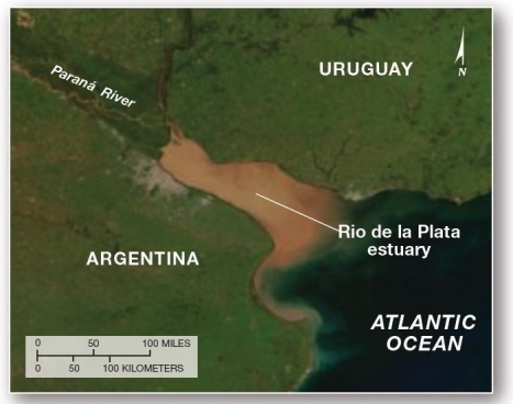   The Paraná River is in the process of filling in an enclosed body of water at the river's mouth.This is an example of a(n) ____delta. A) estuarine B) bird's-foot C) alluvial D) fluvial E) arcuate