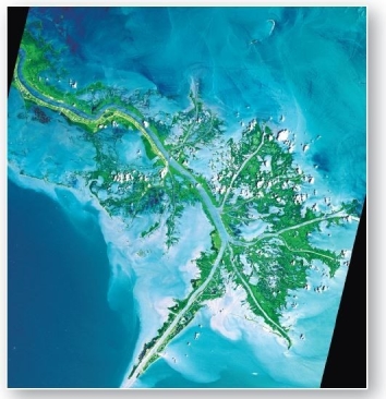   The Mississippi River delta has widely spaced distributary channels extending long distances into the Gulf of Mexico.This is an example of a(n) ____delta. A) estuarine B) bird's-foot C) alluvial D) fluvial E) arcuate