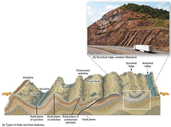  Types of folds and their features  Folded layers of rock can form a wavelike pattern of troughs and crests.The layers near the trough (i.e. ,downward fold) form A) a syncline. B) a tension zone. C) an anticline. D) a thrust fault. E) shear.