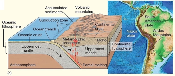   At this convergent boundary,a subduction zone forms as the result of density differences of the converging plates. A) oceanic plate-continental plate B) oceanic plate-oceanic plate C) continental-plate-continental plate D) continental shield-craton E) terrane-craton