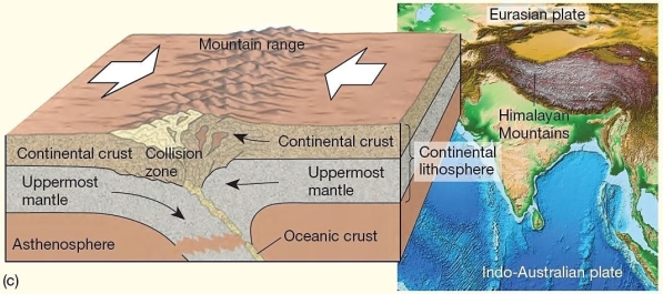   At this convergent boundary,neither plate is subducted,rather folding,faulting,and uplift occurs. A) oceanic plate-continental plate B) oceanic plate-oceanic plate C) continental-plate-continental plate D) continental shield-craton E) terrane-craton