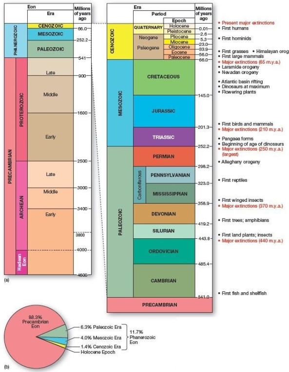  Geologic time scale showing highlights of Earth's history.(a) Dates appear in m.y.a.(millions of years ago) .   Which of the following is correct regarding the geologic time scale? A) The Jurassic period occurred during the Paleozoic era. B) Over 87 percent of Earth's history has elapsed during the more recent Cenozoic,Mesozoic,and Paleozoic eras. C) The bulk of Earth's history has occurred during the Precambrian eon. D) Modern humans live in the Tertiary period. E) Flowering plants emerged in the Precambrian.