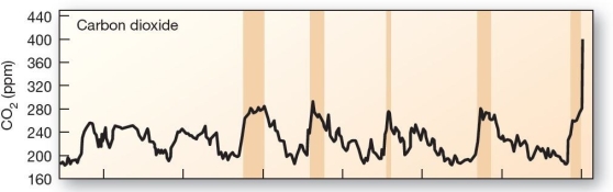 <strong> The 650,000-year record for carbon dioxide (CO2)Climate reconstructions indicate that carbon dioxide (CO<sub>2</sub>)levels</strong> A)are at the highest levels now of any time during the past 650,000 years. B)have consistently decreased over the past 650,000 years. C)were highest approximately 350,000 years ago and have decreased since. D)have fluctuated over the past 650,000 years,so recent upward trends are not a concern. E)have steadily increased (with some minor fluctuations)over the past 350,000 years.