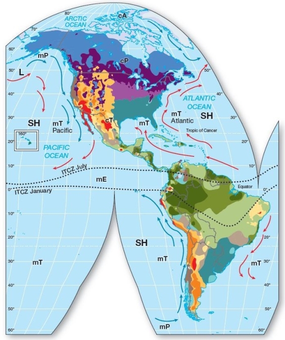    World Climate Classification  Which air mass appears to predominately influence the humid subtropical region? A) maritime polar (mP)  B) maritime tropical (mT)  C) continental tropical (cT)  D) continental polar (cP)  E) maritime equatorial (mE) 
