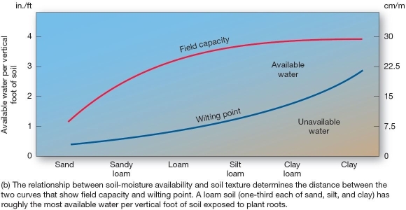  Types and availability of soil moisture  Of the following,which soil type has the highest field capacity? A) loam B) clay loam C) silt loam D) sandy loam E) sand