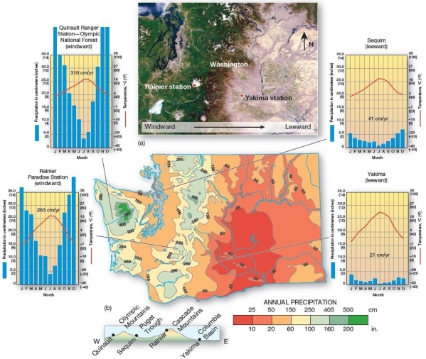  Orographic patterns in Washington State.Four stations in Washington provide examples of orographic effects: windward precipitation and leeward rain shadows.Isohyets (isolines of equal precipitation amounts) on the map indicate rainfall (in inches) .Note each station on the landscape profile at bottom.   In the state of Washington,the western portion of the state receives far more rainfall than the eastern portion of the state.What accounts for this stark contrast? A) The western portion of the state sees a great deal of frontal lifting,while the eastern portion is under a high pressure cell. B) The western portion of the state experiences orographic precipitation,while the eastern portion is in the rain shadow. C) The western portion of the state has much more moderate temperatures due to the maritime effect and,therefore,experiences convectional uplift,while the eastern portion is governed by continentality. D) The western portion of the state is under the ITCZ during the summer and experiences convergent uplift,while the eastern portion is under the Azores High and experiences subsiding air. E) The western portion of the state experiences year-round convective rainstorms,whereas the eastern portion does not.