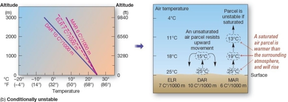      Stability-three examples.Specific examples of (a) unstable, (b) conditionally unstable,and (c) stable conditions in the lower atmosphere.Note the response to these three conditions in the air parcel on the right side of each diagram.   When the environmental lapse rate is between the dry and moist adiabatic lapse rates,conditions are described as A) adiabatic. B) stability. C) conditionally unstable. D) unstable. E) conditionally stable.