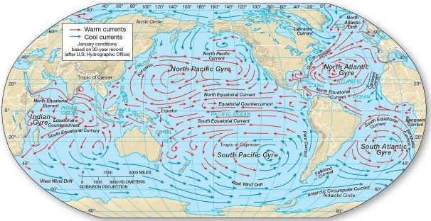  Major ocean currents and the five subtropical gyres.[After the U.S.Naval Oceanographic Office.]   In the Northern Hemisphere,ocean currents move about high-pressure cells;in the Southern Hemisphere ocean currents move about high-pressure cells. A) counterclockwise;clockwise B) parallel;perpendicular C) clockwise;counterclockwise D) perpendicular;parallel E) perpendicular;clockwise