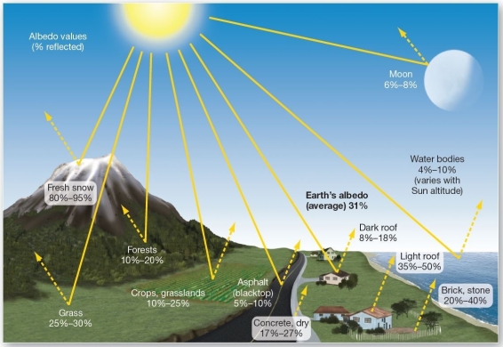  Various albedo values.   Which of the following has the lowest albedo? A) fresh snow B) croplands C) light roof D) forests E) the Moon