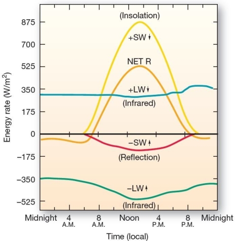  Daily radiation budget.Radiation budget on a typical July summer day at a midlatitude location (Matador in southern Saskatchewan,about 51° N) .[Based on T.R.Oke,<I>Boundary Layer Climates</I>, 1978 Methuen & Co.]   NET R values,as illustrated for a typically summer day at a midlatitude location,are positive A) during the night when +LW is at a maximum. B) after dusk due to a lag effect of outgoing infrared radiation. C) during daylight hours,peaking just after noon with the peak of insolation. D) during the daylight hours,peaking just after sunrise. E) around midnight when +SW is the highest.