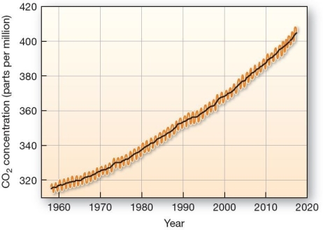  Increasing atmospheric carbon dioxide since 1950.Monthly average CO2 measured at Mauna Loa Observatory in Hawai''i.The highest and lowest months (usually May and October) are plotted for each year;black line shows the 5-year running average.   Which is true of the level of CO<sub>2 </sub>in our atmosphere? A) CO2 is reached 400 ppm in approximately 2013. B) The rate of increase leveled out in 1976. C) The level of CO2 was much higher in 1955 than today. D) The level of CO2 is decreasing at 3.1% per year. E) The levels of CO2 have greatly fluctuated over the past 50 years.