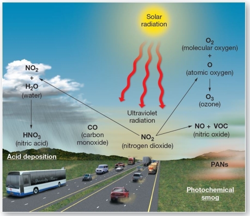  Protochemical reactions and pollutants from cars  The main ingredients in photochemical smog are A) ozone,PAN,and nitric acid. B) PAN,nitric acid,and carbon monoxide. C) ozone,particulate matter,and carbon monoxide. D) PAN,carbon monoxide,and particulate matter. E) VOC and sulfur oxides.