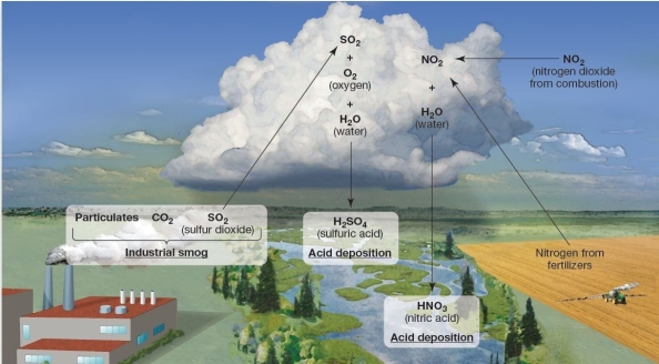 Chemical reactions and pollutants from industrial smog  Industrial smog is A) composed primarily of O3 and PANs. B) principally associated with coal-burning industries and electrical generation. C) a relatively recent problem that developed during the latter half of this century. D) principally associated with transportation. E) unrelated to the phenomena of acid deposition.
