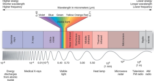 <strong>  A portion of the electromagnetic spectrum of radiant energy from the Sun Which of the following is characterized by the longest wavelengths</strong> A)X-rays B)thermal infrared C)radio waves D)gamma rays E)visible <div style=padding-top: 35px> 