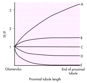The following graph depicts the changes in tubular fluid concentrations of various substances along the length of the proximal tubule,plotted as the tubular fluid-to-plasma concentration ratio (TF/P).Thus the TF/P = 1 for a substance that is at the same concentration in the tubular fluid and plasma (for all substances that are freely filtered,TF/P = 1 at the glomerulus). Match the following substances to the appropriate TF/P curve.   glucose