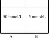 A membrane permeable by only Na<sup>+</sup> separates two compartments containing Na<sub>2</sub>SO<sub>4</sub>,shown as follows:   Electrodes are placed in both compartments,and a voltage is applied (that of compartment A is held at 0 mV) .What voltage applied to compartment B would result in no net movement of Na<sup>+</sup> across the membrane separating the compartments? A) -60 mV B) -30 mV C) 0 mV D) +30 mV E) +60 mV