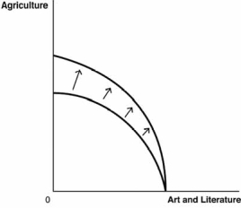 Use these production possibilities frontier PPF)  curves, which compare the ancient production of agricultural products to art and literature, to answer the next questions. A.    B.    C.    D.    E.    -Suppose the printing press is invented. Which graph best depicts how this would affect the PPF? A)  Graph A B)  Graph B C)  Graph C D)  Graph D E)  Graph E