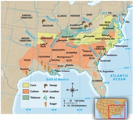 According to Map 13.2: The Agricultural Economy of the South,1860,which southern state grew both corn and cotton?   A)  Texas B)  Arkansas C)  Mississippi D)  Kentucky
