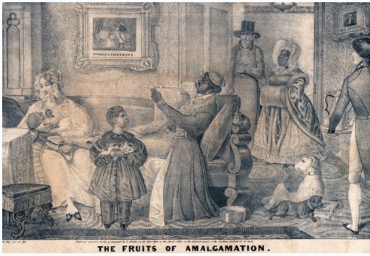The lithograph  The Fruits of Amalgamation  portrays anxiety over what possible effect of emancipation?   A)  Free blacks taking white jobs B)  Interracial marriage C)  Revenge killing of white slave owners by free blacks D)  The economic collapse of the South