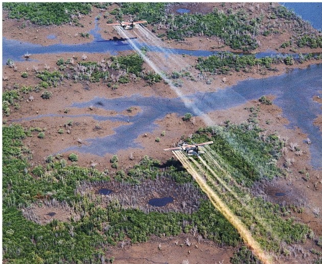 What was Agent Orange?   A)  A chemical agent deployed by the United States during the Vietnam War B)  A chemical agent deployed by the North Vietnamese during the Vietnam War C)  The name of the most successful U.S.mission during the Vietnam War D)  A nickname U.S.soldiers called President Nixon during the Vietnam War