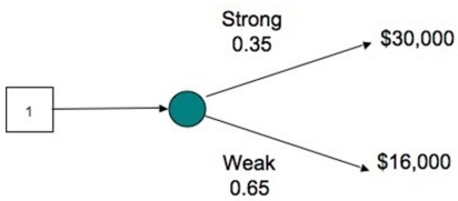 <strong>The decision tree shows the profit outcomes for a toy store in a strong and a weak economy for next year. If the economy turns out to be weak, how much profit is the store likely to lose out?  </strong> A) $14,000 B) $16,000 C) $30,000 D) $15,000 <div style=padding-top: 35px> 