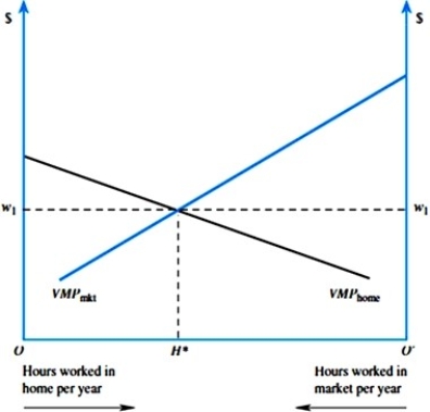 Refer to the figure below. If VMPmkt can be characterized by the equation VMPmkt = 50 - 2Hmkt, where Hmkt is the number of hours worked in the market, and VMPhome can be characterized by the equation VMPhome = 45 - 3Hhome, where Hhome is the number of hours worked at home, what is H* if there are a total of 40 hours to be worked between work and home?   