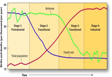   -Which of the following is NOT shown in the Demographic Transition graph? A)  total population B)  birthrate C)  death rate D)  gender distribution of the population E)  four stages
