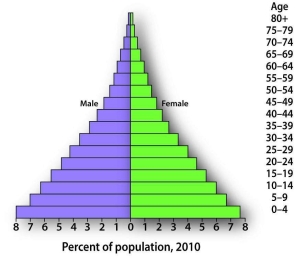 A population pyramid with a wide base and a narrow peak is characteristic of what kind of growth rate?   A)  slow growth B)  zero growth C)  rapid growth D)  negative growth E)  It is impossible to tell the growth rate based on the shape of a population pyramid.