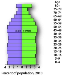 The population pyramid below is characteristic of what kind of growth rate?   A)  slow growth B)  zero growth C)  rapid growth D)  negative growth E)  It is impossible to tell the growth rate based on the shape of a population pyramid.