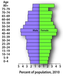 The population pyramid below is characteristic of what kind of growth rate?   A)  slow growth B)  zero growth C)  rapid growth D)  negative growth E)  It is impossible to tell the growth rate based on the shape of a population pyramid.