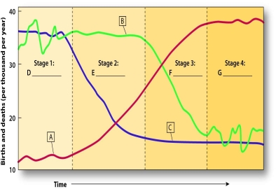 Label the  Demographic Transition  figure below, then describe the steps by which a country goes from a high birth rate and high death rate to a low birth rate and low death rate.   