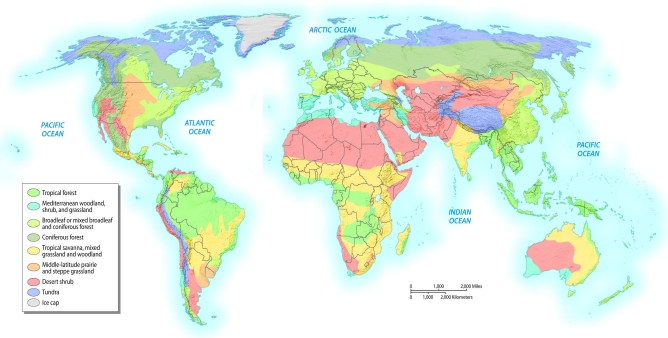 Based on the map of bioregions below, what type of bioregion is most often found along the equator?   A)  broadleaf or mixed broadleaf and coniferous forest B)  coniferous forest C)  tundra D)  tropical forests E)  Mediterranean woodland