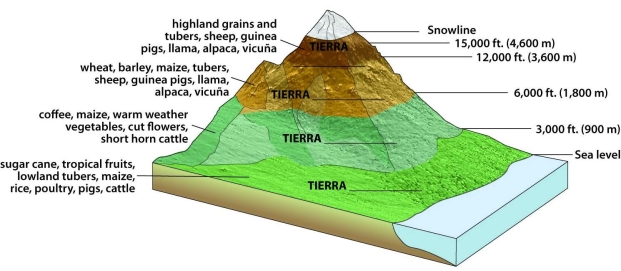 Label the  altitudinal zonation  and discuss how the environmental lapse rate affects the economic activities that can be pursued at different elevations.   