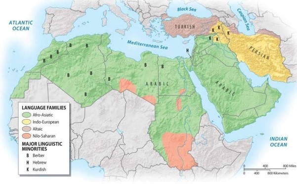 Discuss the languages of North Africa and Southwest Asia, paying special attention to the non-Arab languages in the region.   