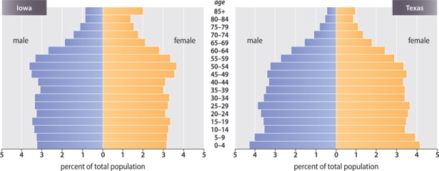 Using the graphic below, what is the primary difference between the populations of Iowa and Texas?   A) The population of Iowa is older. B) Texas has a much lower birth rate. C) The influx of immigrants into Iowa is making the population younger. D) Texas has a higher percentage of both older males and females. E) There is no difference: the populations of the two states are nearly identical.