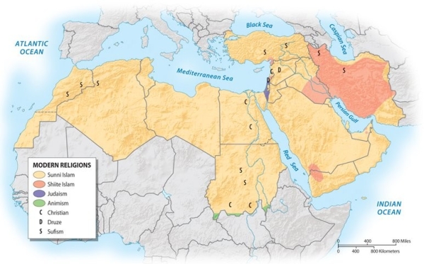 Based on the graphic below, which of the following is NOT represented in North Africa?   A) Suffism B) Sunni Islam C) Christianity D) Druze E) Animism