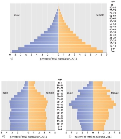 The population pyramid below is characteristic of what kind of growth rate?   A)  slow growth B)  zero growth C)  rapid growth D)  negative growth E)  It is impossible to tell the growth rate based on the shape of a population pyramid.