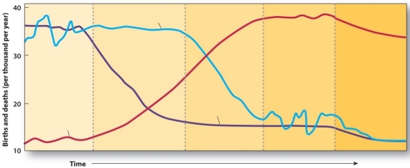 In <u>Stages 1 and 4</u> of the Demographic Transition,the rate of natural increase is (RNI)low.   