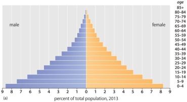 A population pyramid with a wide base and a narrow peak is characteristic of a <u>slow</u> growth rate.   