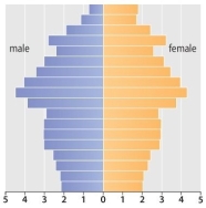 A population pyramid such as the one below is associated with a <u>negative</u> growth rate.   
